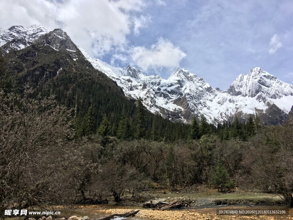 雪山下的山林美景