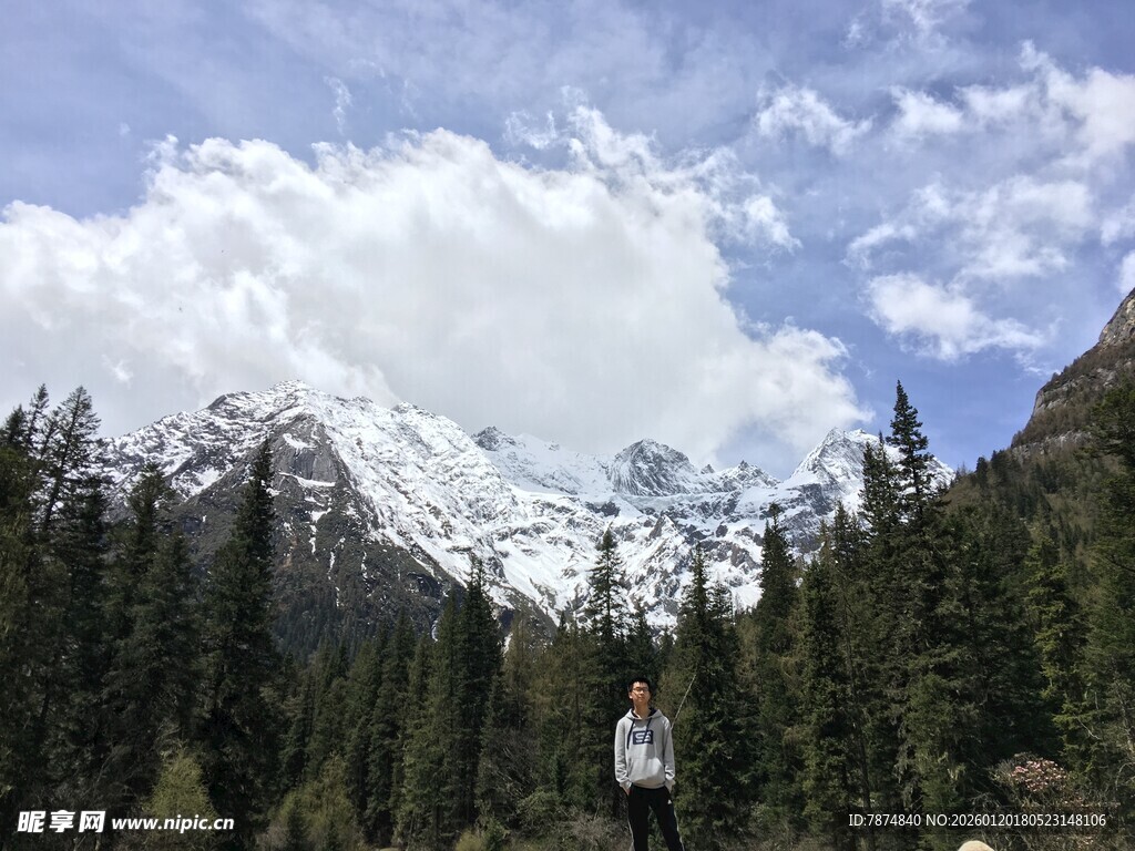 雪山下的茂密森林景观