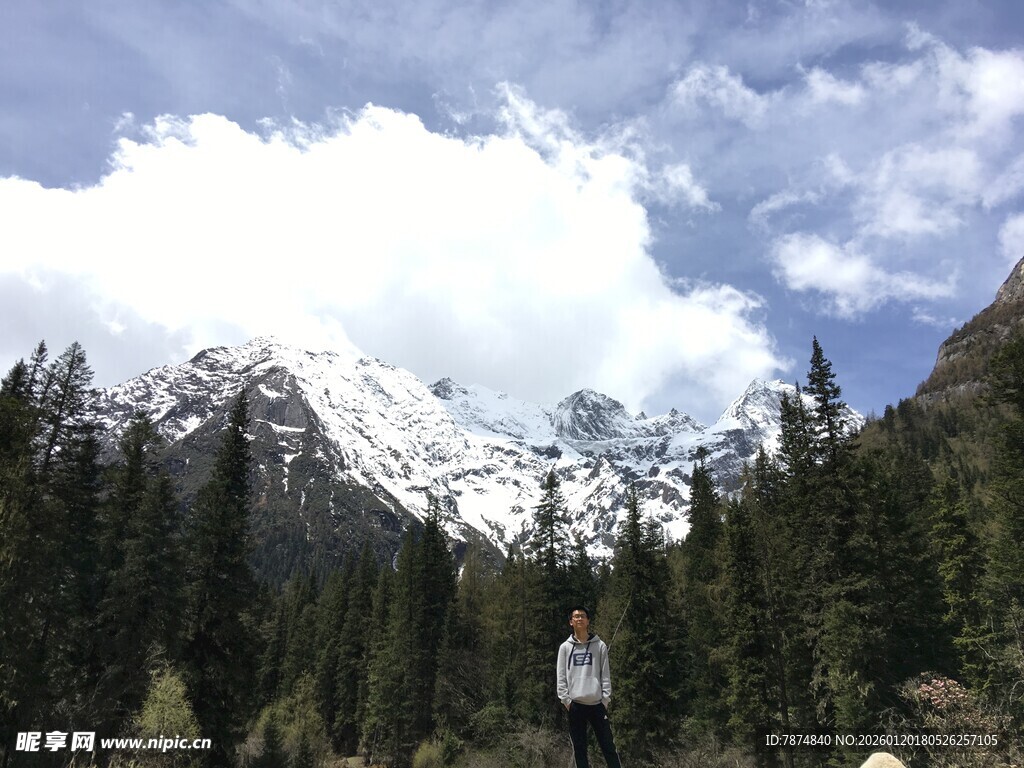 雪山下的森林美景