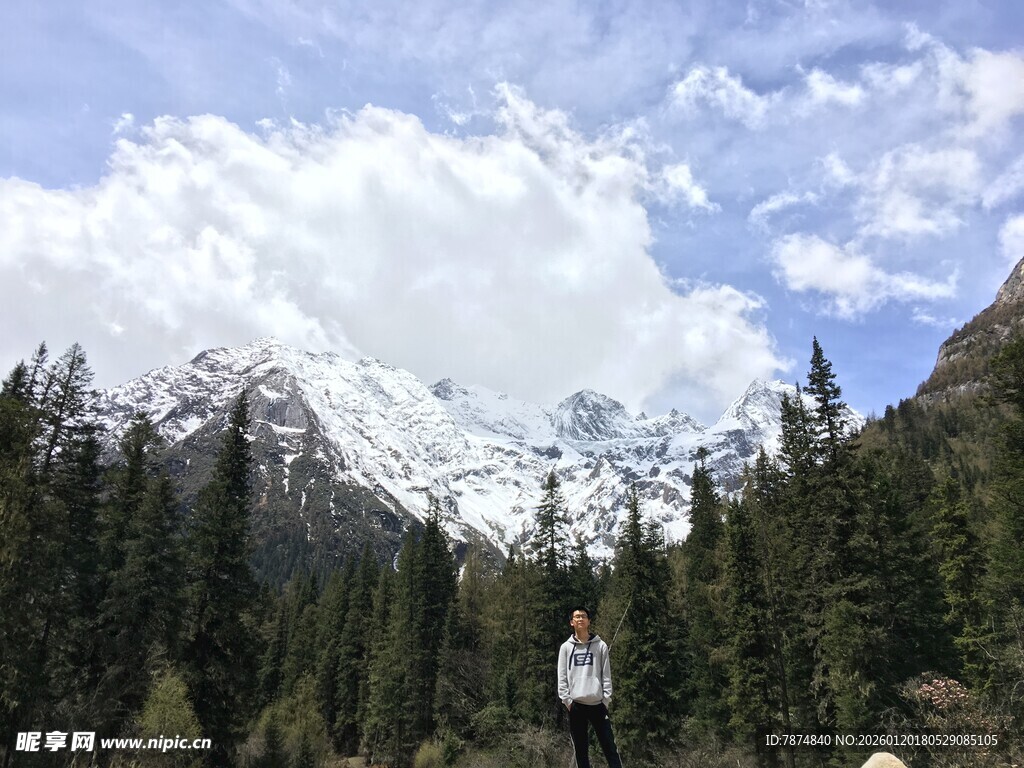 雪山下的森林美景