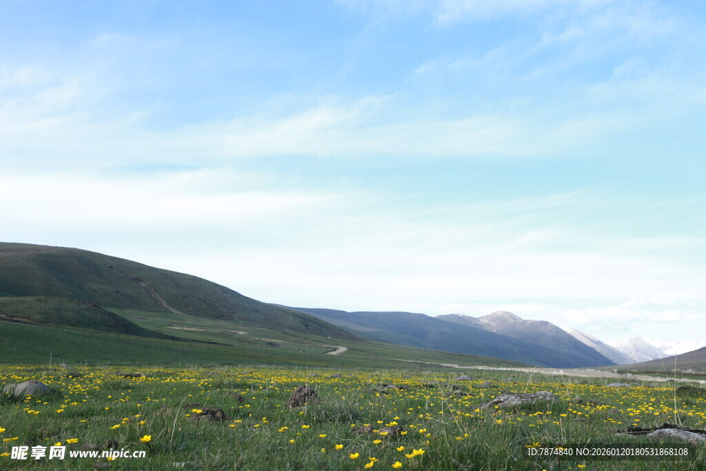 草原花海与远山美景