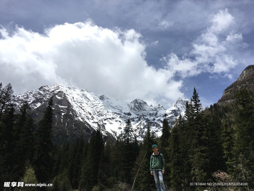 雪山森林间的壮丽景致