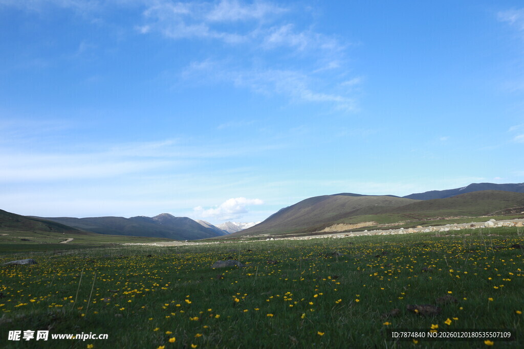 草原花海 蓝天白云美景