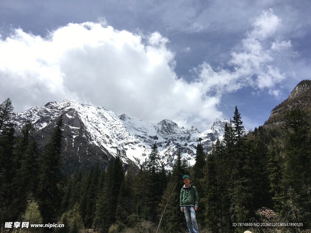 雪山下的葱郁山林