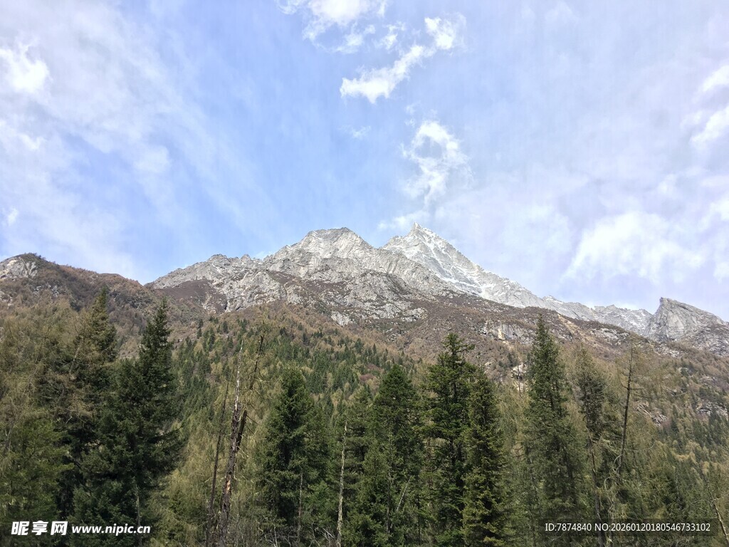 巍峨山峦下的葱郁森林