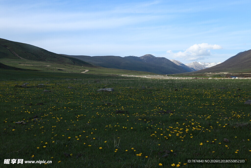 草原花海 远山蓝天美景