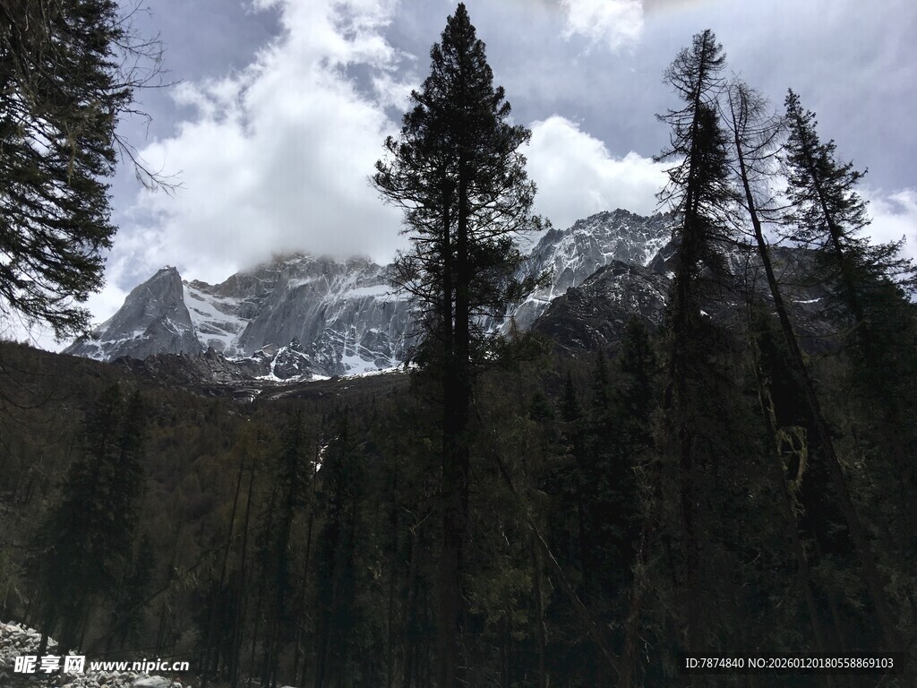 山林中的巍峨雪山