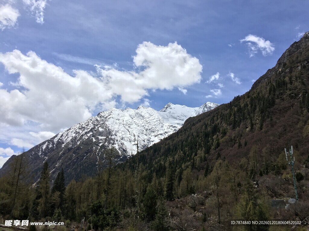 雪山下的葱郁山林