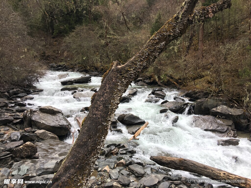 山间湍急溪流与枯木