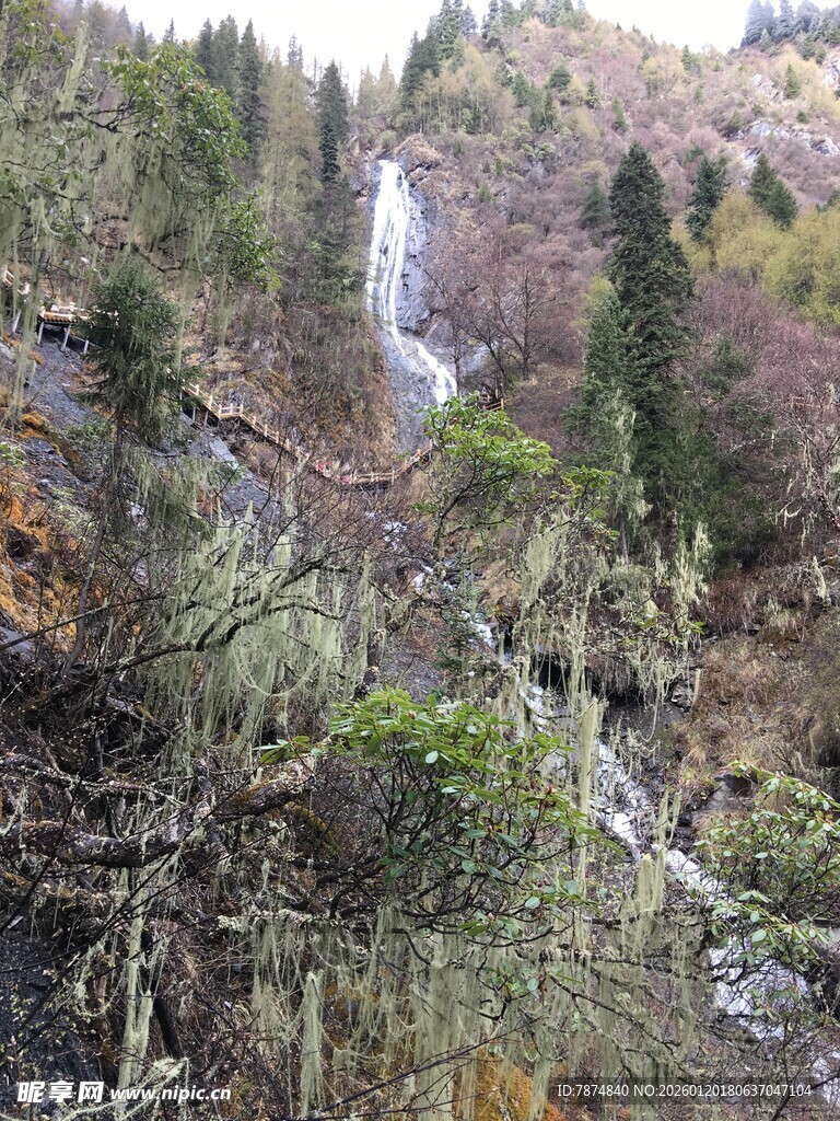 山间瀑布与葱郁林木景观