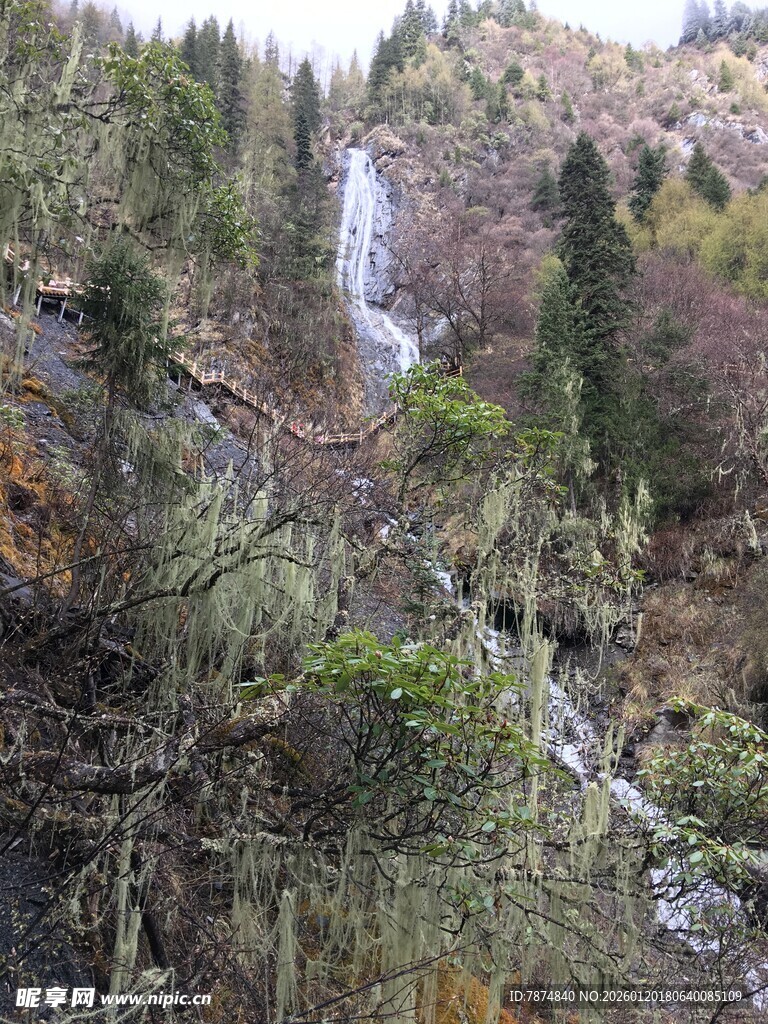 山间瀑布 林木环绕之景
