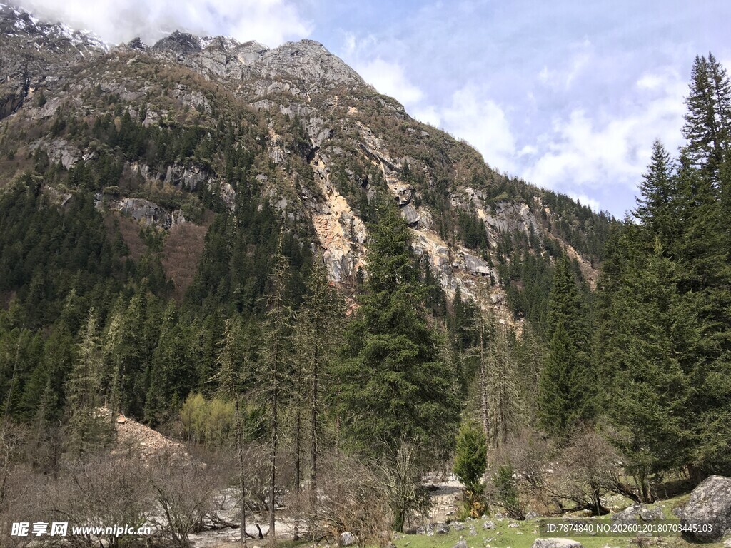 巍峨山峦间的葱郁森林