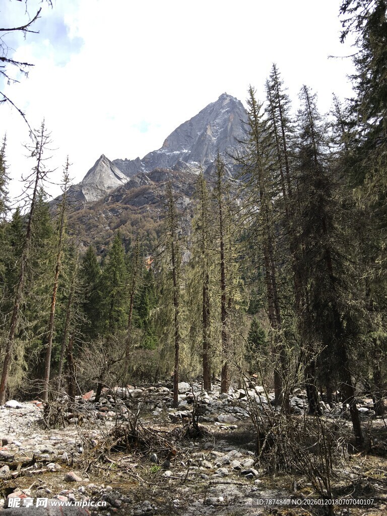 山林中的巍峨山峰