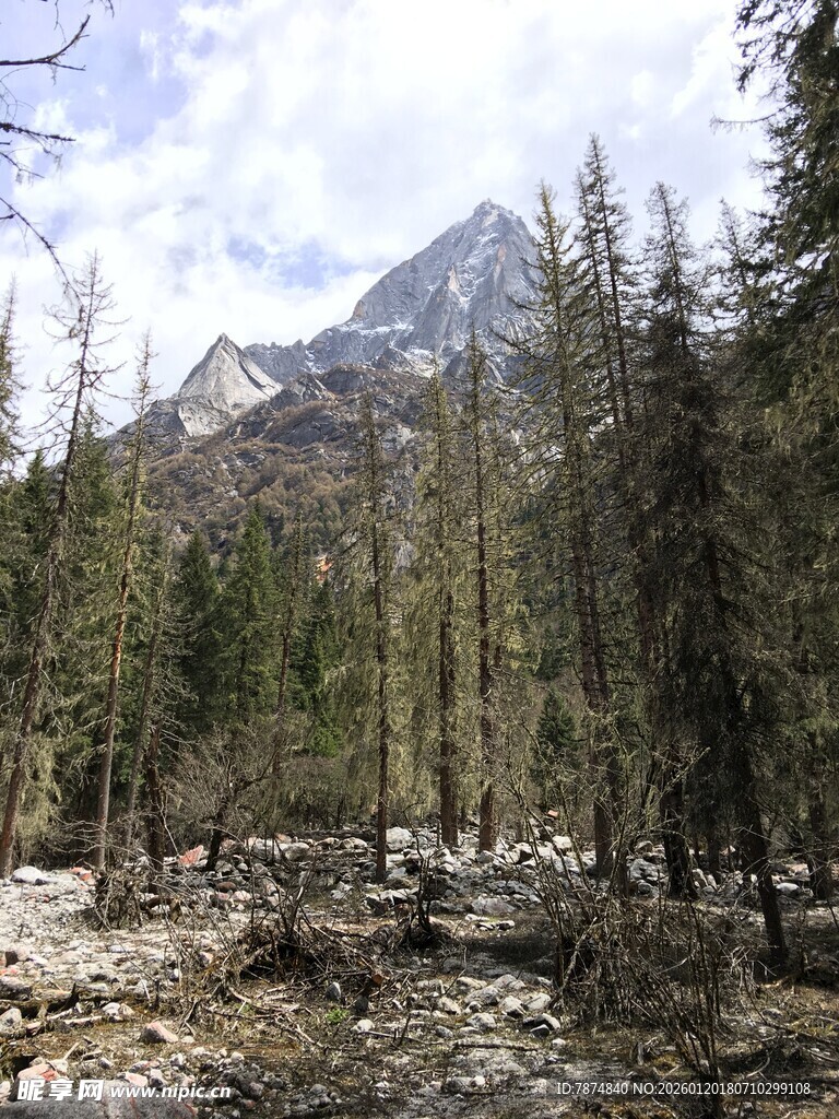山林间的巍峨山峰
