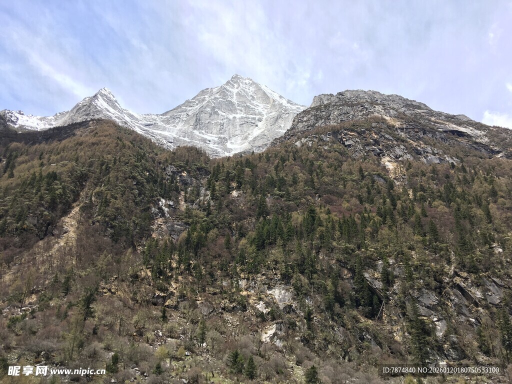 雪山下的葱郁山林