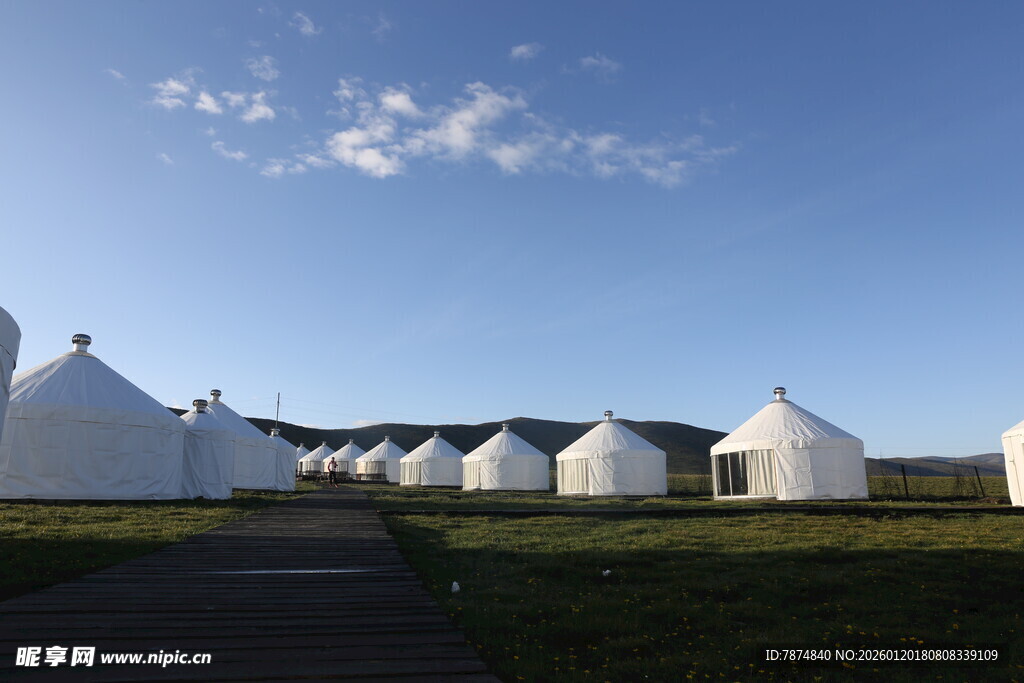 草原上的白色帐篷聚落
