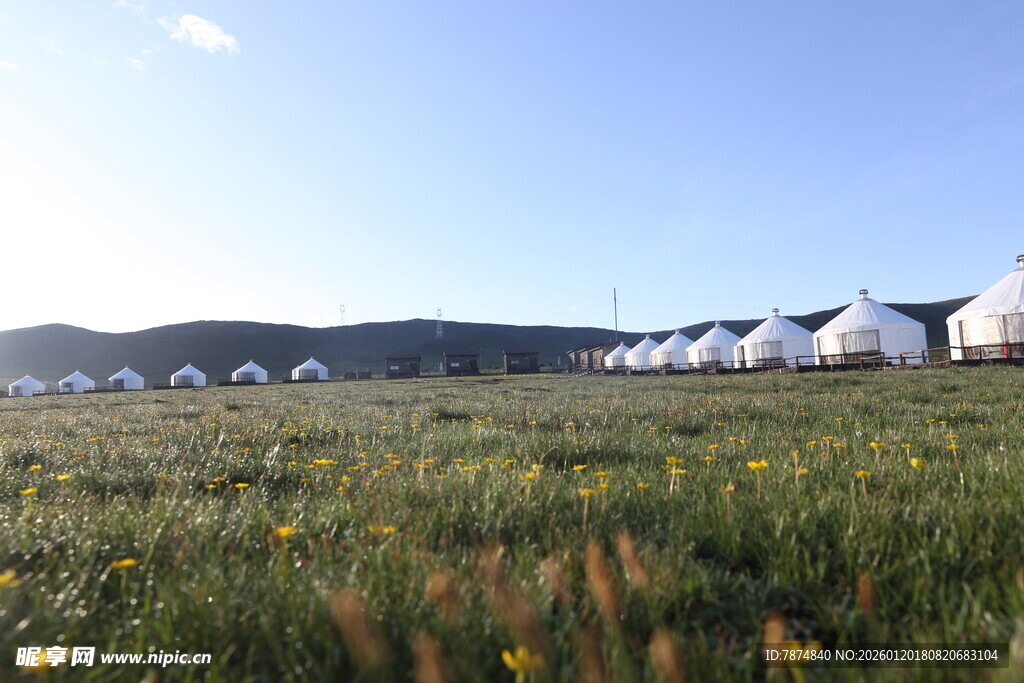 草原上的白色帐篷群落