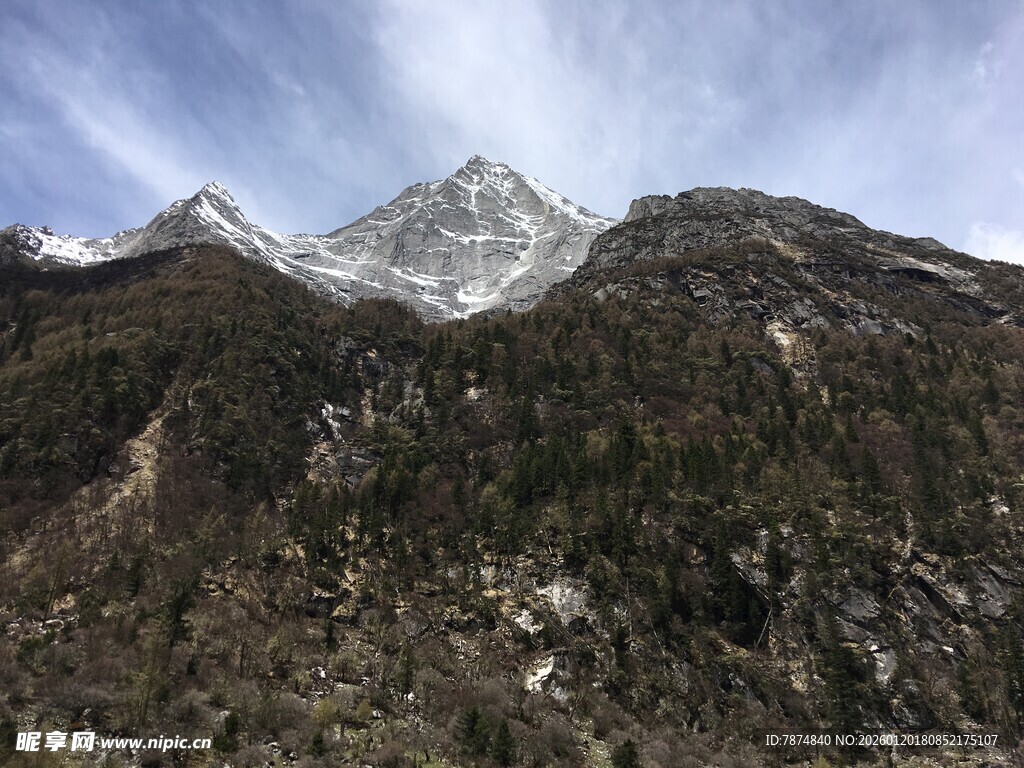 雪山下的山林景观