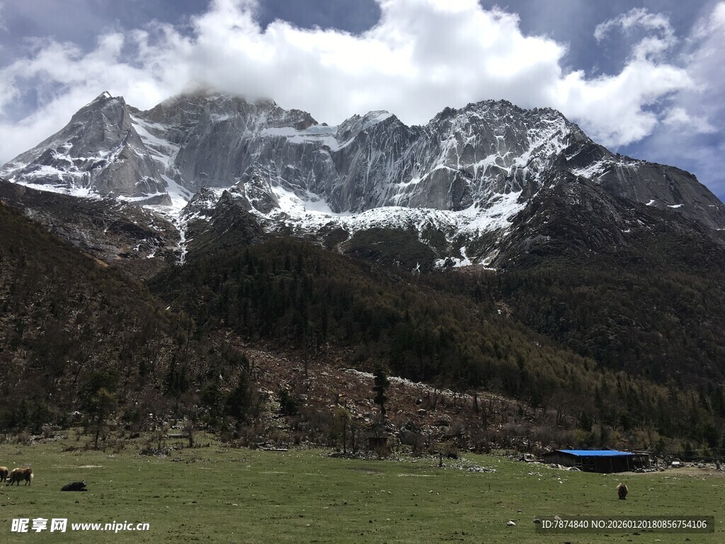 雪山下的草原风光