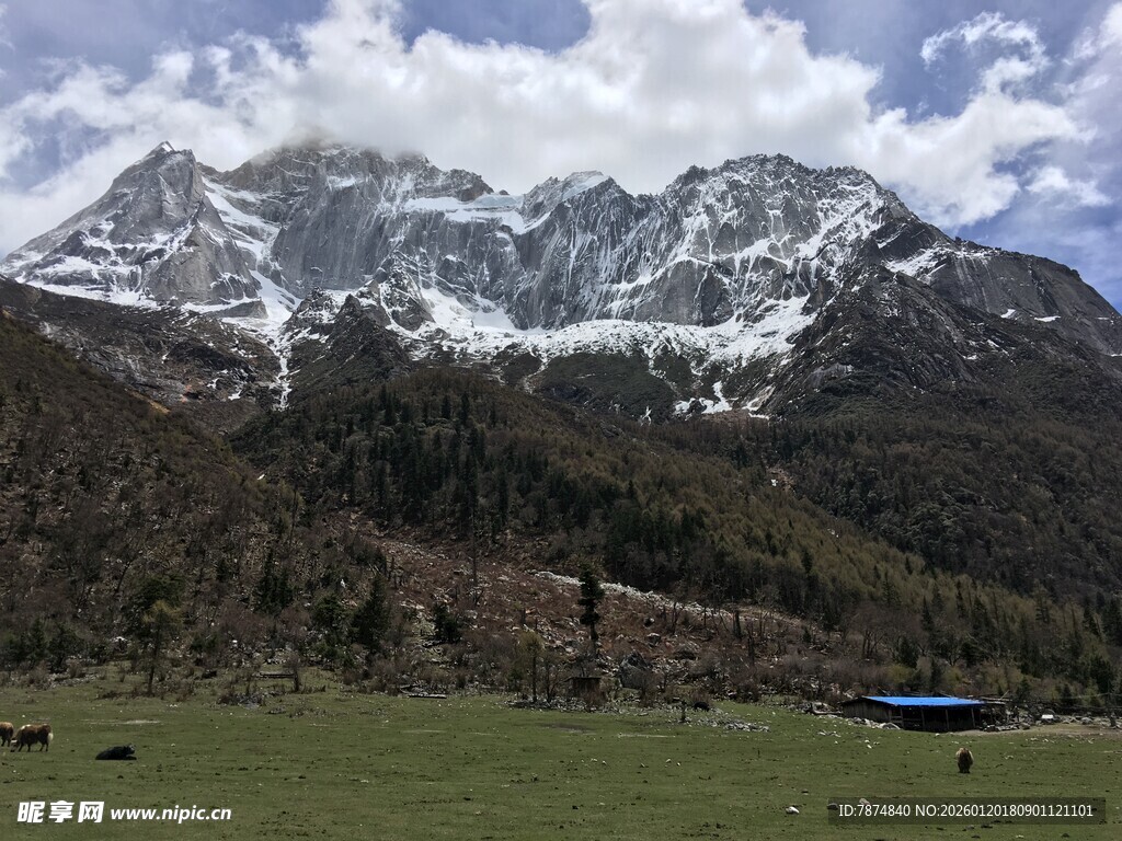 雪山下的草原风光