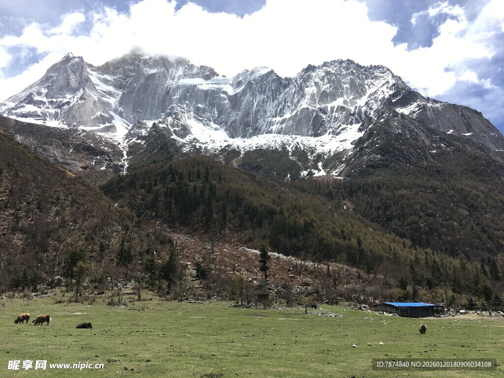 雪山下的草原风光
