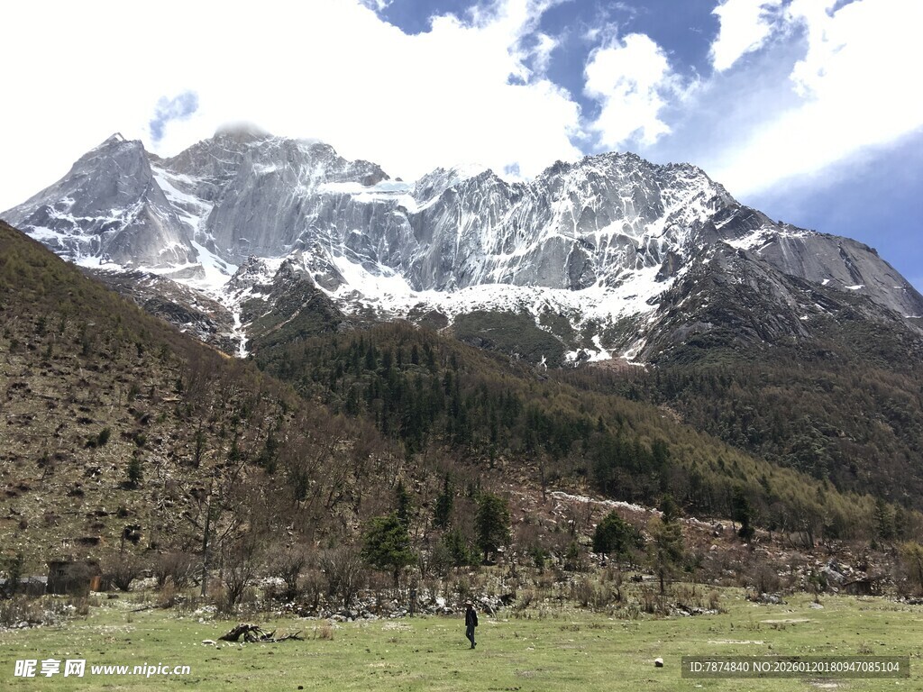 雪山下的开阔草地风光