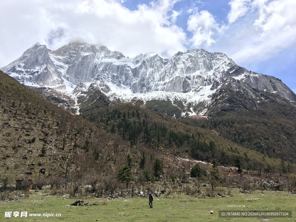 雪山下的开阔草地风光