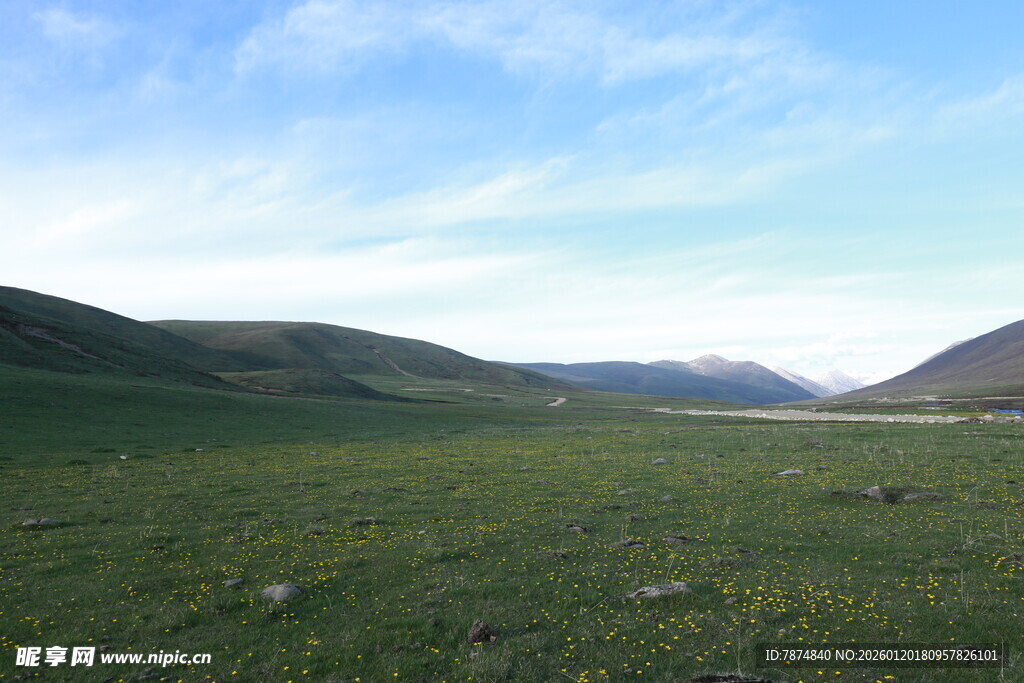 广袤草原与远处山峦风光