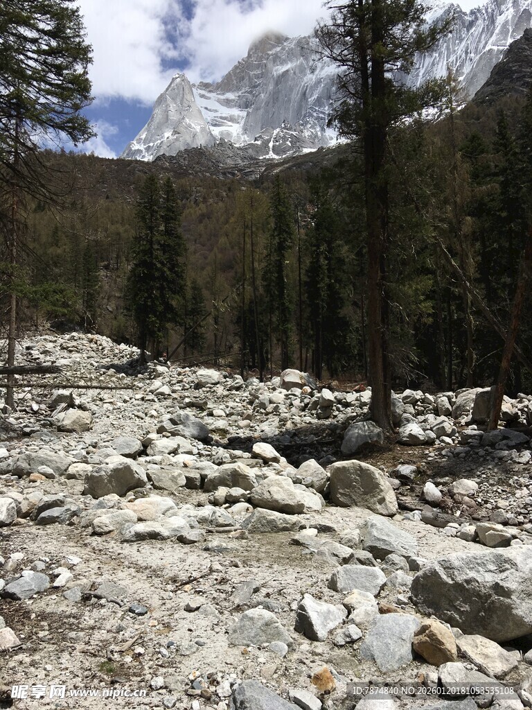 山间碎石路与茂密树林景观