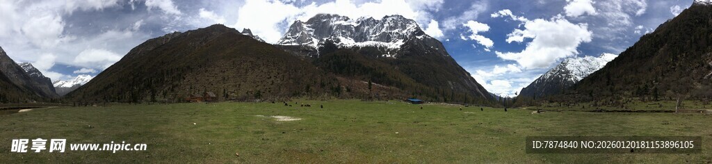 雪山下的翠绿草地