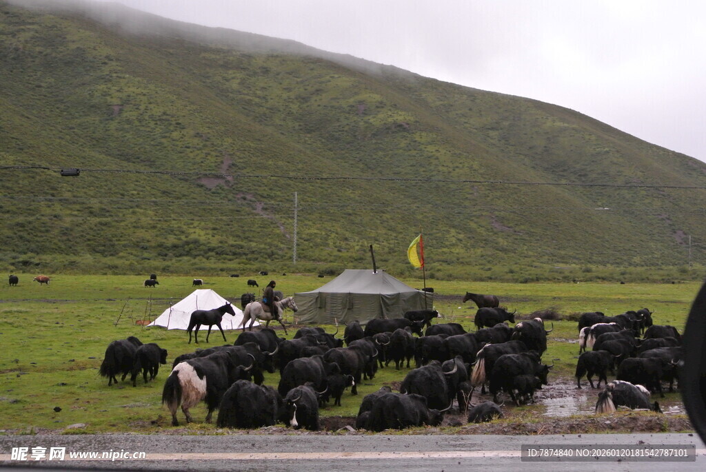 草原牧场景象