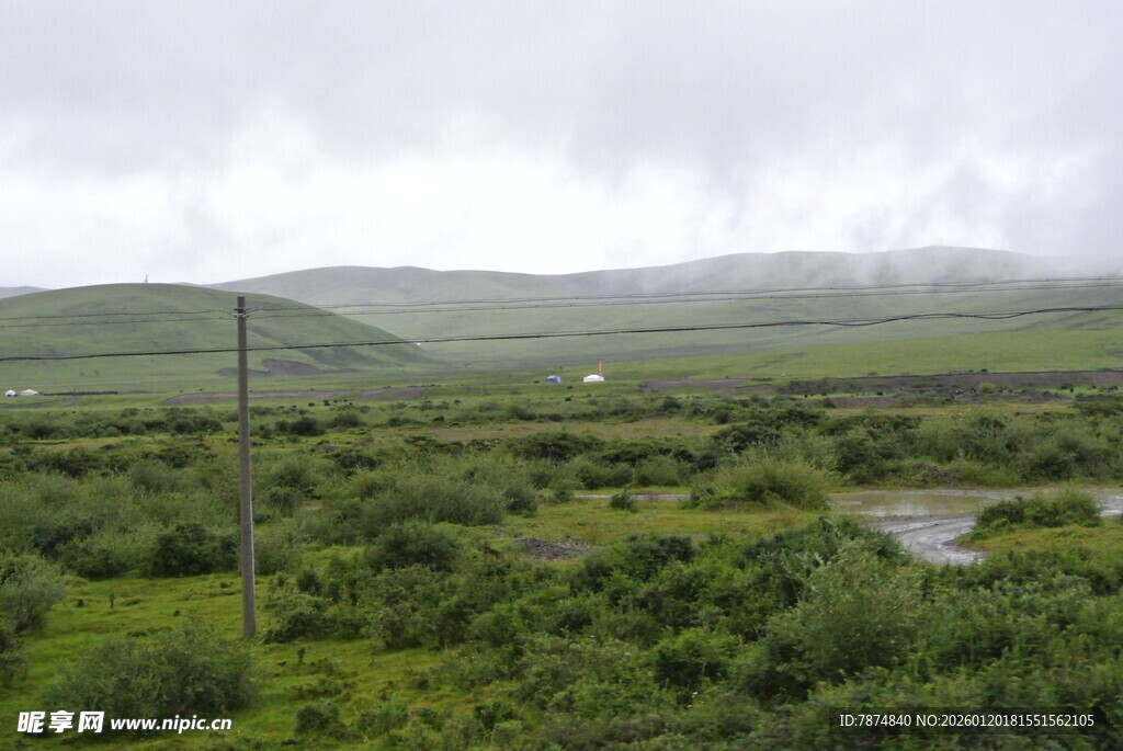 草原雨中景色