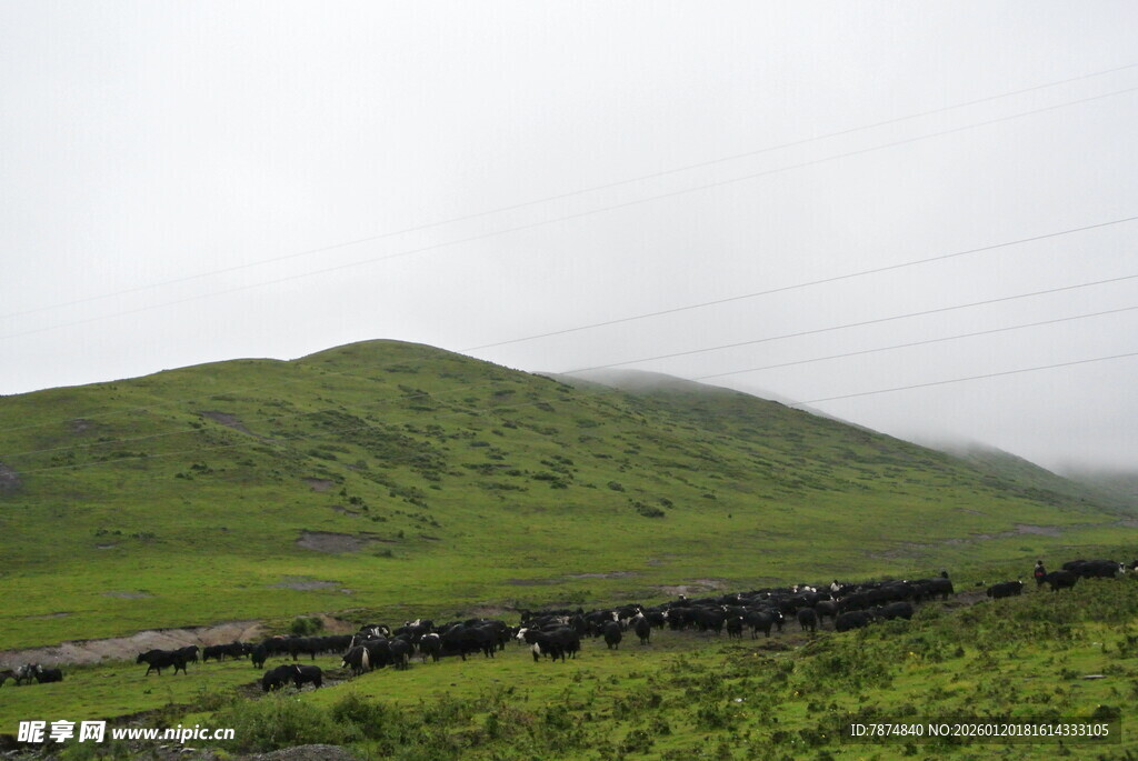云雾缭绕的翠绿山丘