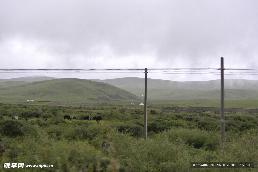 草原上的电线与广袤景色