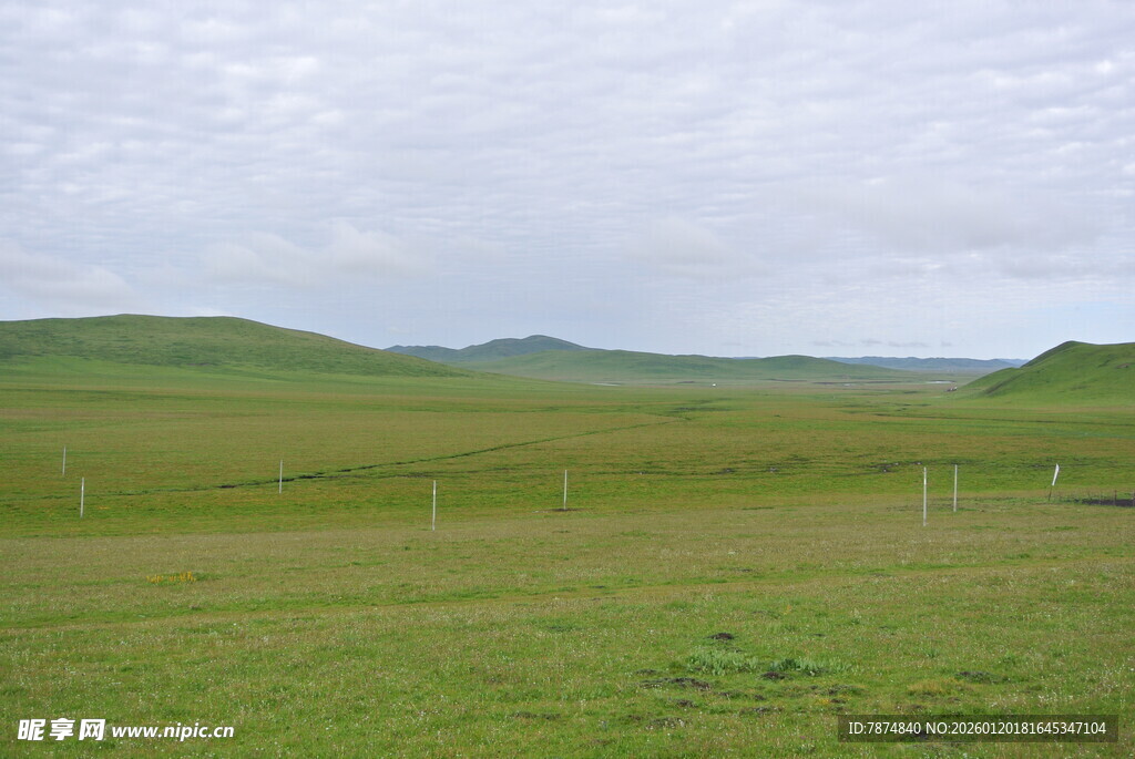 草原风光 广袤绿野