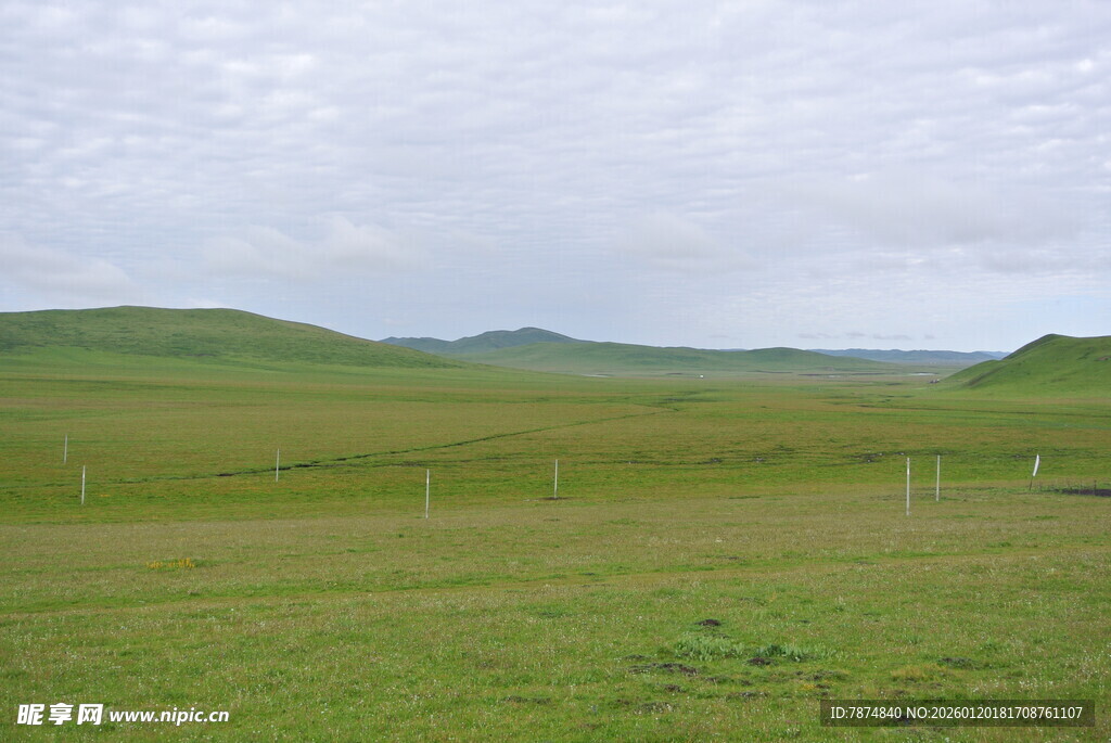 广袤草原风光