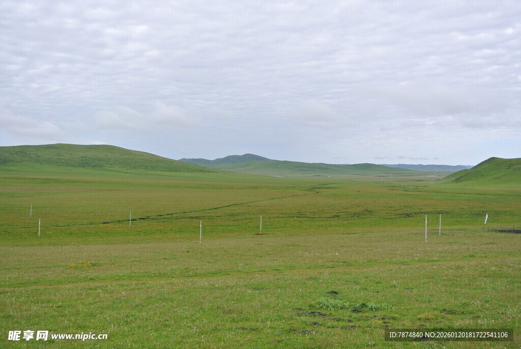 广袤草原风光
