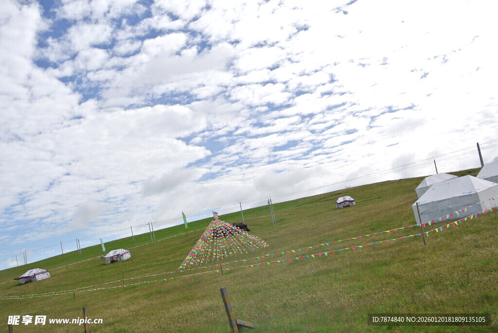 草原上的帐篷与羊群