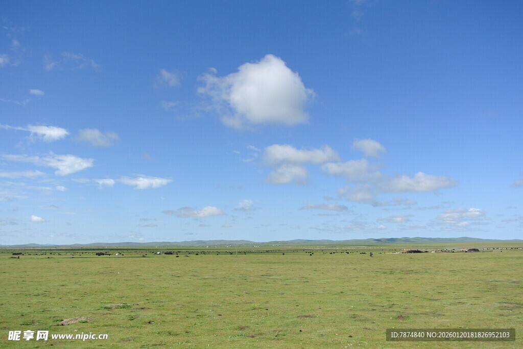 广阔草原与蓝天