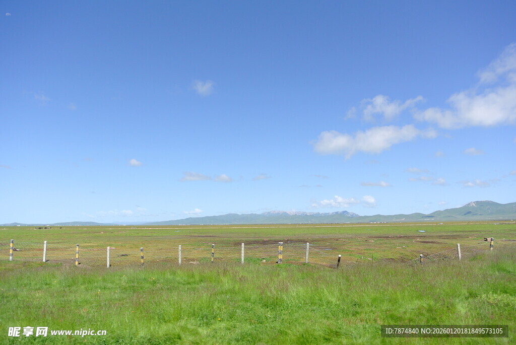 草原风光 围栏点缀绿意