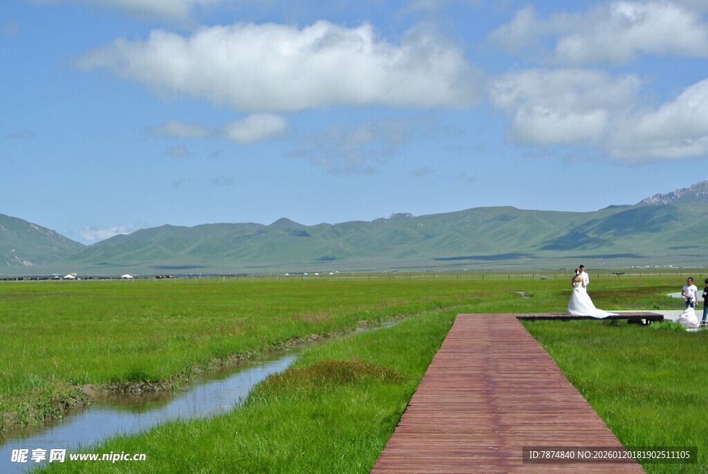 草原木栈道旁的美丽风光
