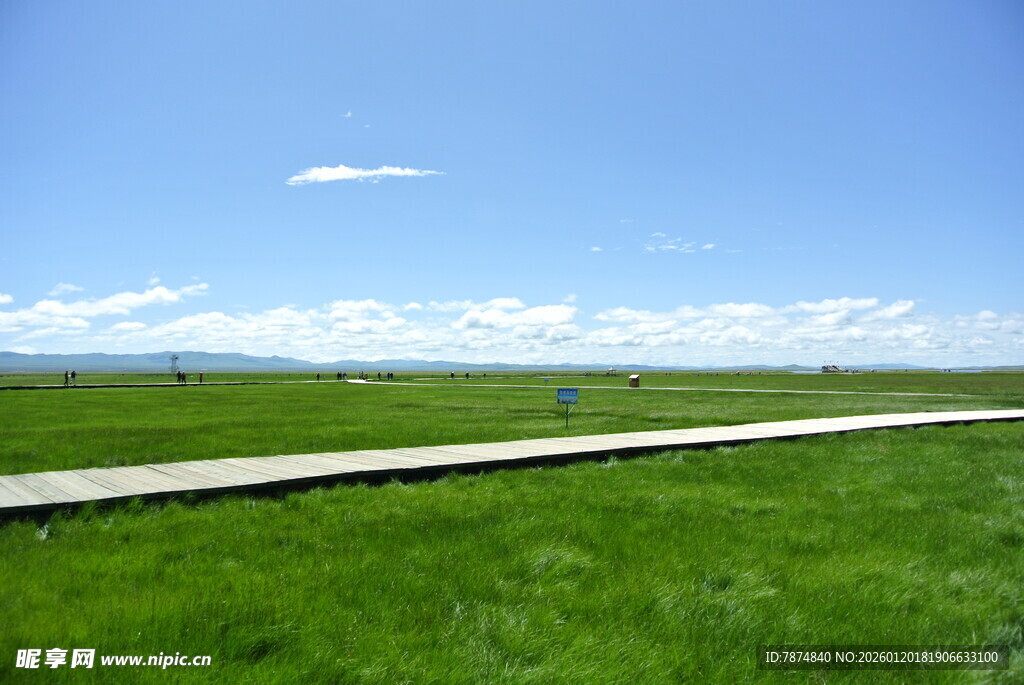 草原上的平坦道路