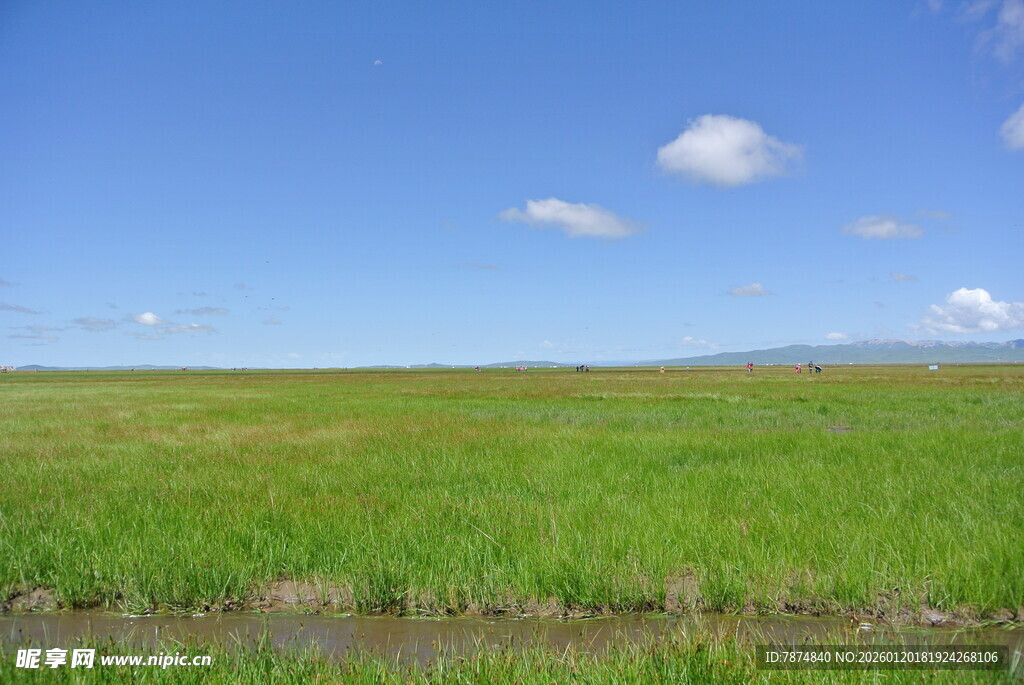 广袤草原蓝天美景
