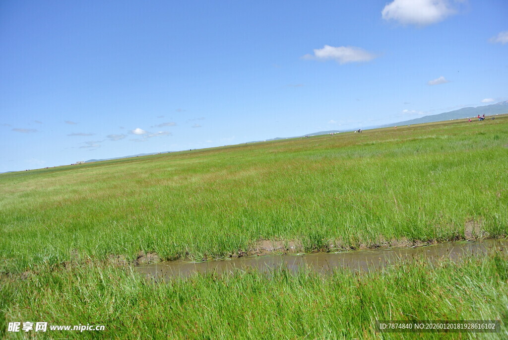 广袤绿野 蓝天相伴