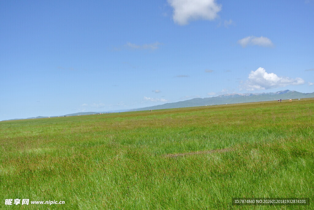 广袤草原 蓝天白云美景