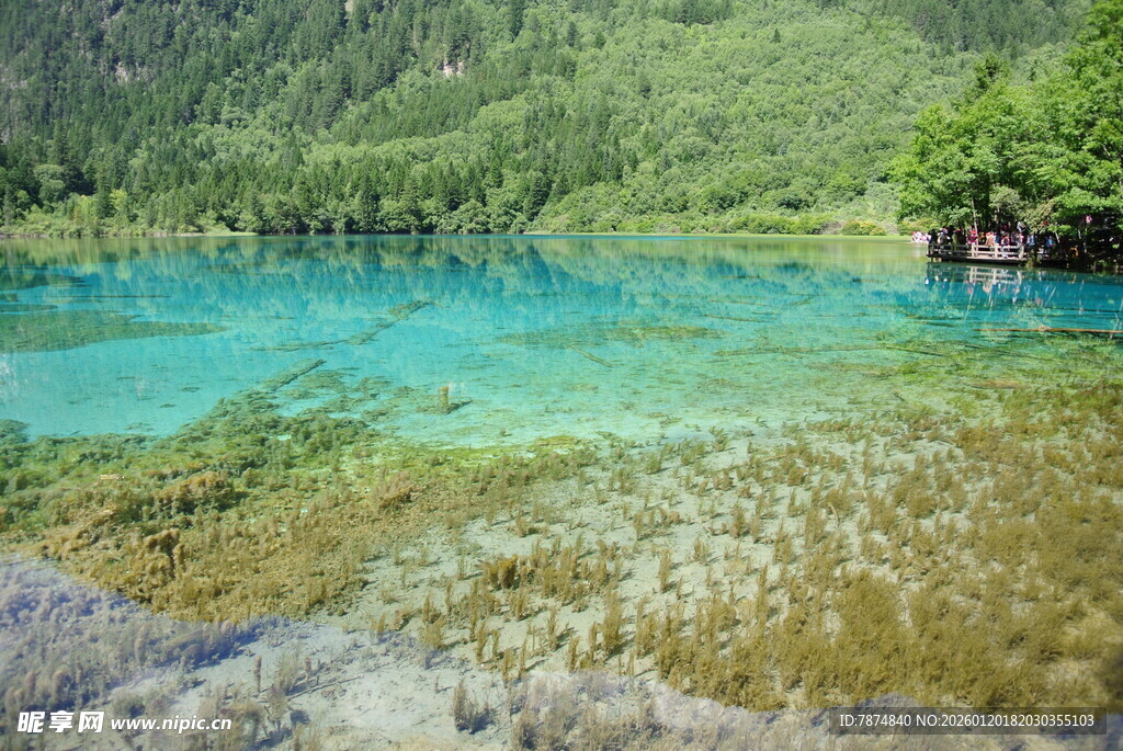 梦幻蓝绿色清澈美丽湖泊
