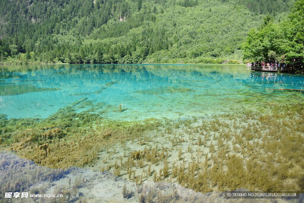 清澈碧绿的山间湖泊