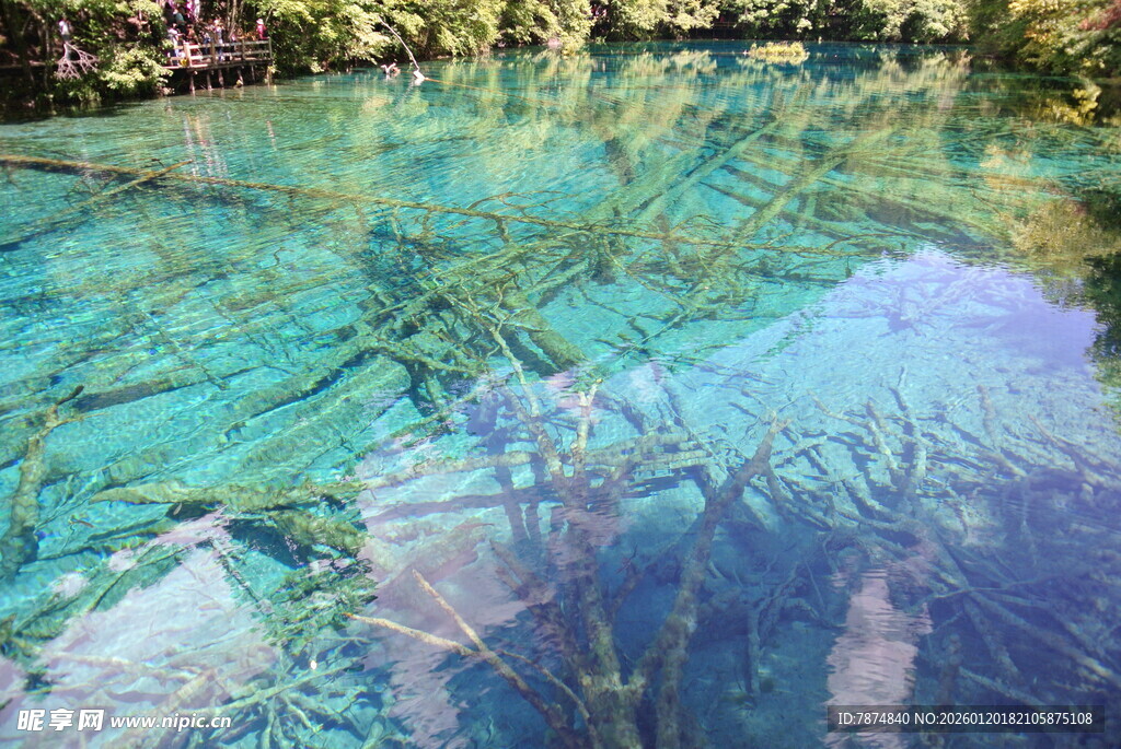 清澈见底的梦幻蓝色水域