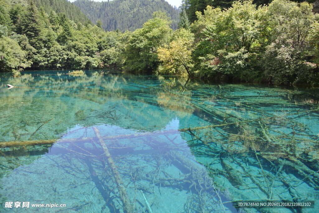 清澈碧绿的山间幽美水域