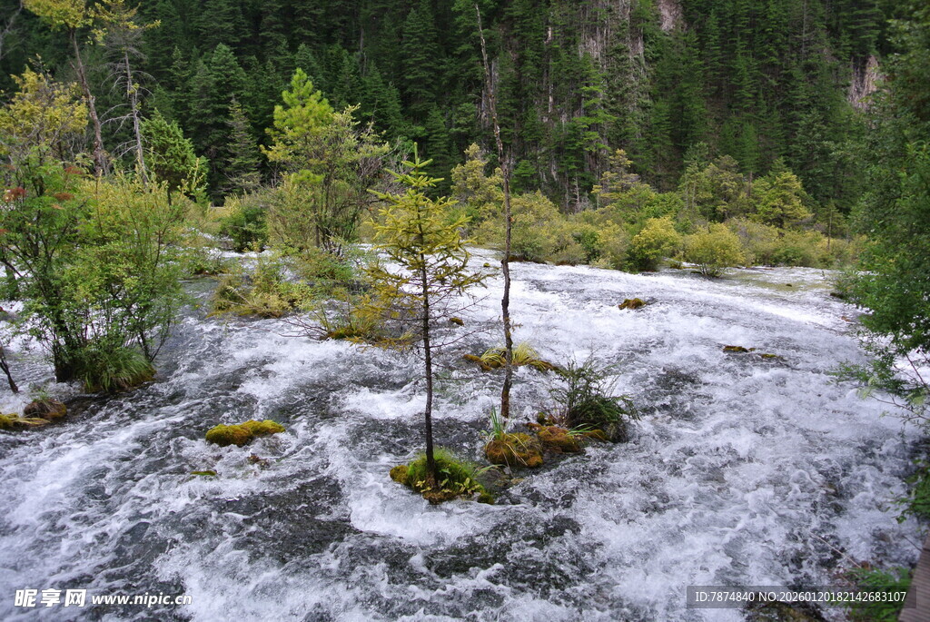山间湍急溪流与葱郁树木